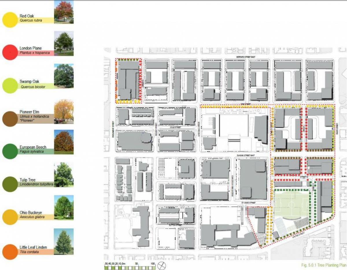 Zemljevid Revitalizacija načrt Regent Park Torontu faza 3
