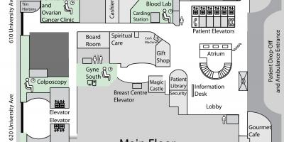 Zemljevid Princesa Margaret Cancer Center v Torontu glavno besedo